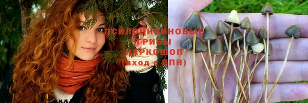 кристаллы Алексин