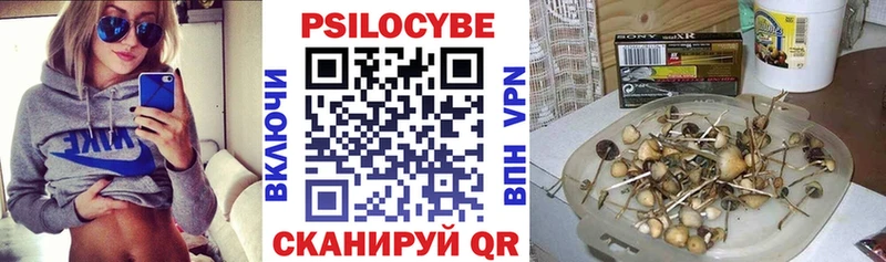 mega ССЫЛКА  Алексин  Псилоцибиновые грибы Psilocybe  купить  сайты 